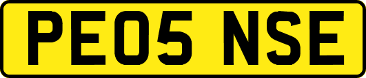 PE05NSE