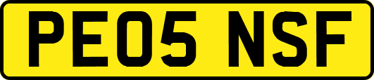 PE05NSF