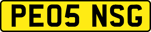 PE05NSG