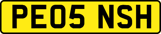 PE05NSH
