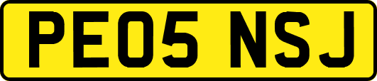 PE05NSJ