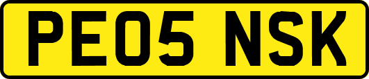 PE05NSK