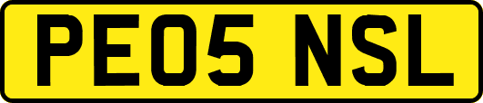 PE05NSL