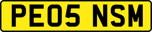 PE05NSM