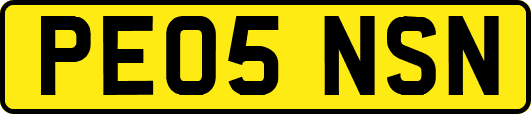 PE05NSN