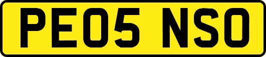 PE05NSO