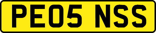 PE05NSS
