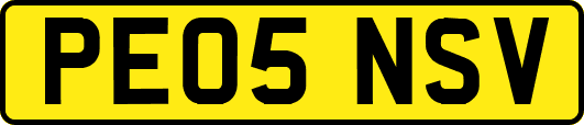 PE05NSV