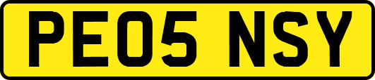 PE05NSY