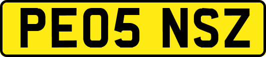 PE05NSZ