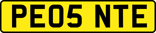PE05NTE