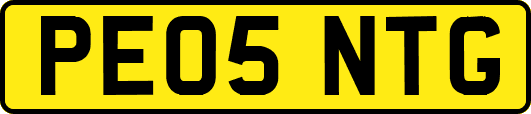 PE05NTG