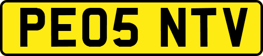 PE05NTV
