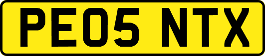 PE05NTX