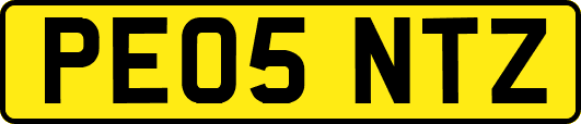 PE05NTZ