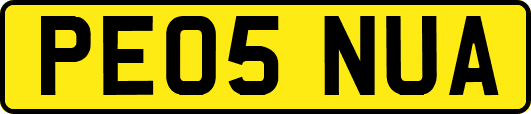 PE05NUA