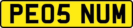 PE05NUM