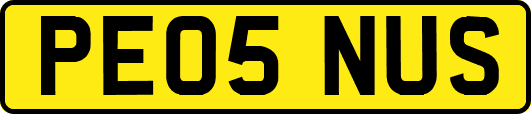 PE05NUS
