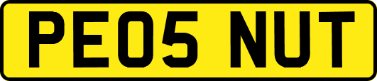 PE05NUT