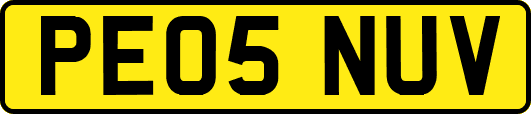 PE05NUV