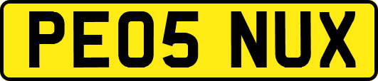 PE05NUX