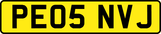 PE05NVJ