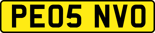 PE05NVO