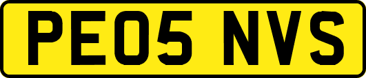 PE05NVS