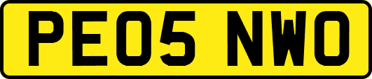 PE05NWO