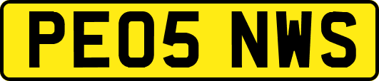 PE05NWS