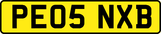 PE05NXB