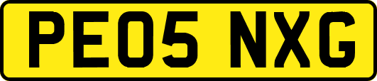 PE05NXG
