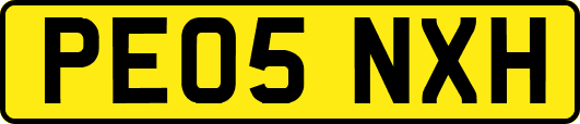 PE05NXH