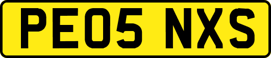 PE05NXS