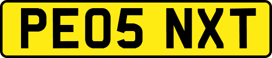 PE05NXT
