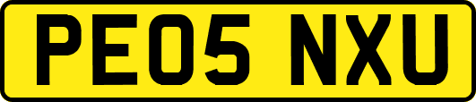 PE05NXU