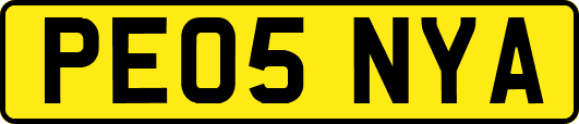 PE05NYA