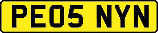 PE05NYN