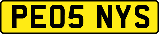 PE05NYS
