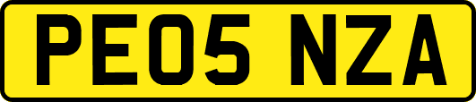 PE05NZA