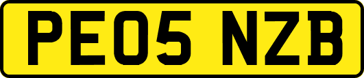 PE05NZB