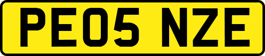 PE05NZE