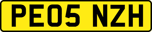 PE05NZH