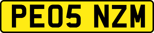 PE05NZM