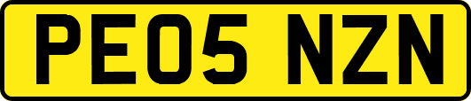 PE05NZN