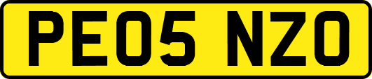 PE05NZO