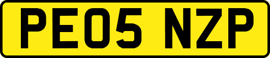 PE05NZP