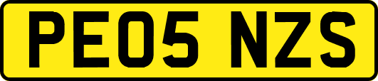 PE05NZS