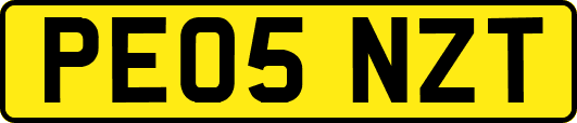 PE05NZT