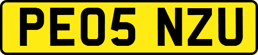 PE05NZU